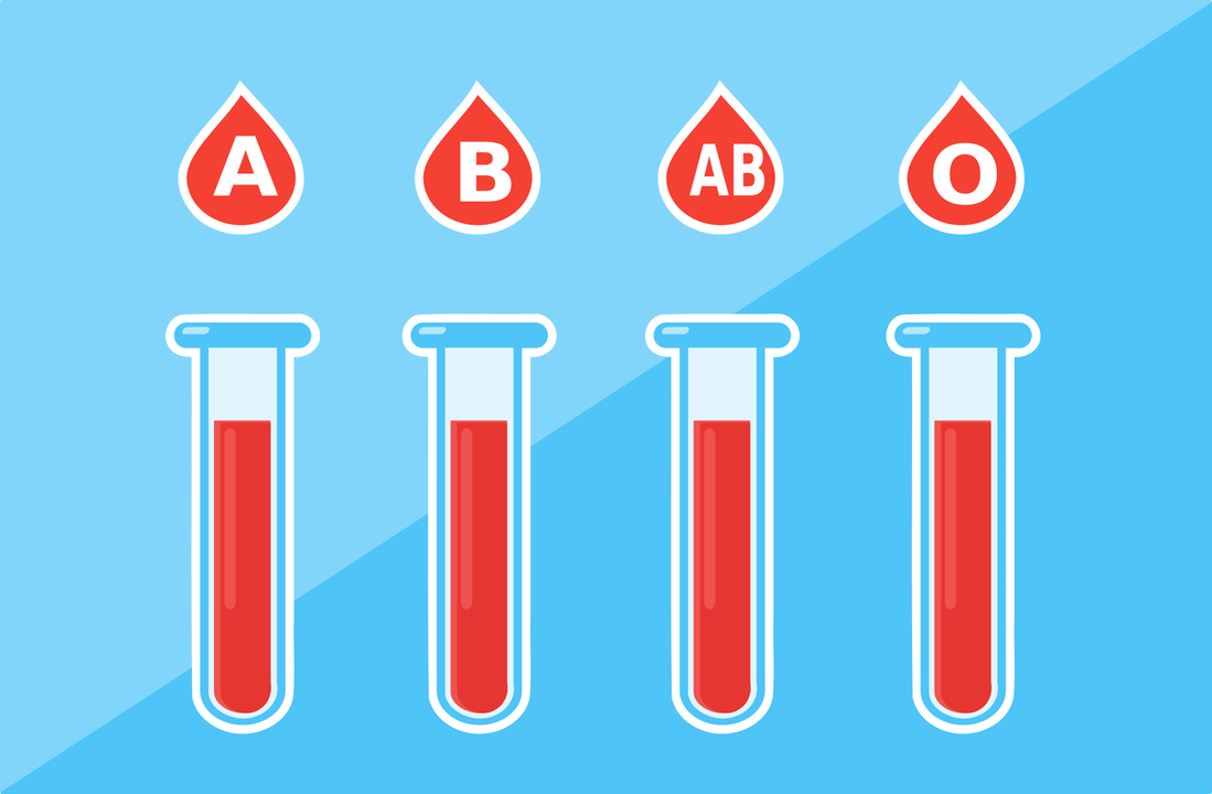 Има 4 кръвни групи – A, B, AB, O
